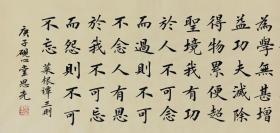 【授权销售】实力书法家田恩亮楷书精品：《菜根谭》节选