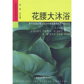 正版书 新民族志实验丛书:花腰大沐浴--新平县漠沙大沐浴村傣族傣雅支系村民日记