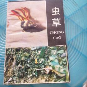 蟲(chóng)草