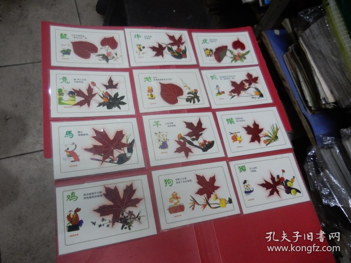 早期天然红树叶标本七彩光12生肖一套12张全（已过胶硬塑料模）