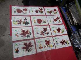 早期天然红树叶标本七彩光12生肖一套12张全（已过胶硬塑料模）