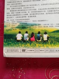 流星花园【十九集电视连续剧】（盒装，正版DVD7碟完整版+F4演唱会DVD1张，国语对白，中文隐藏字幕，贵州东方音像出版社2001年出版发行，盘面几无划痕，正版保证。）