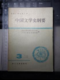 中国文学史纲要（三）