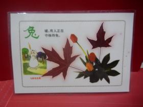 早期天然红树叶标本七彩光12生肖一套12张全（已过胶硬塑料模）