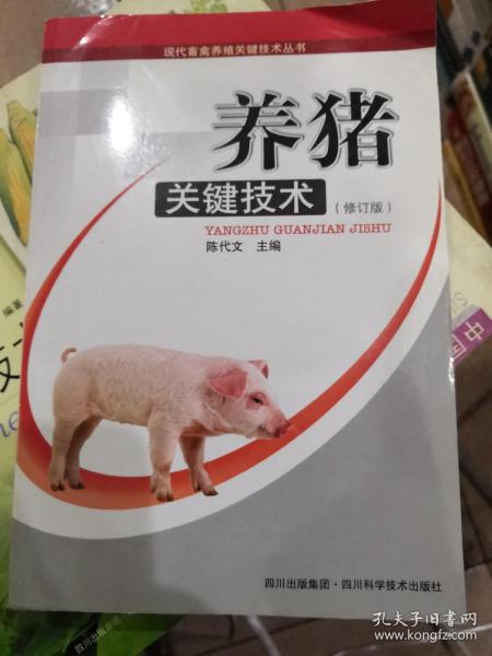 养猪关键技术