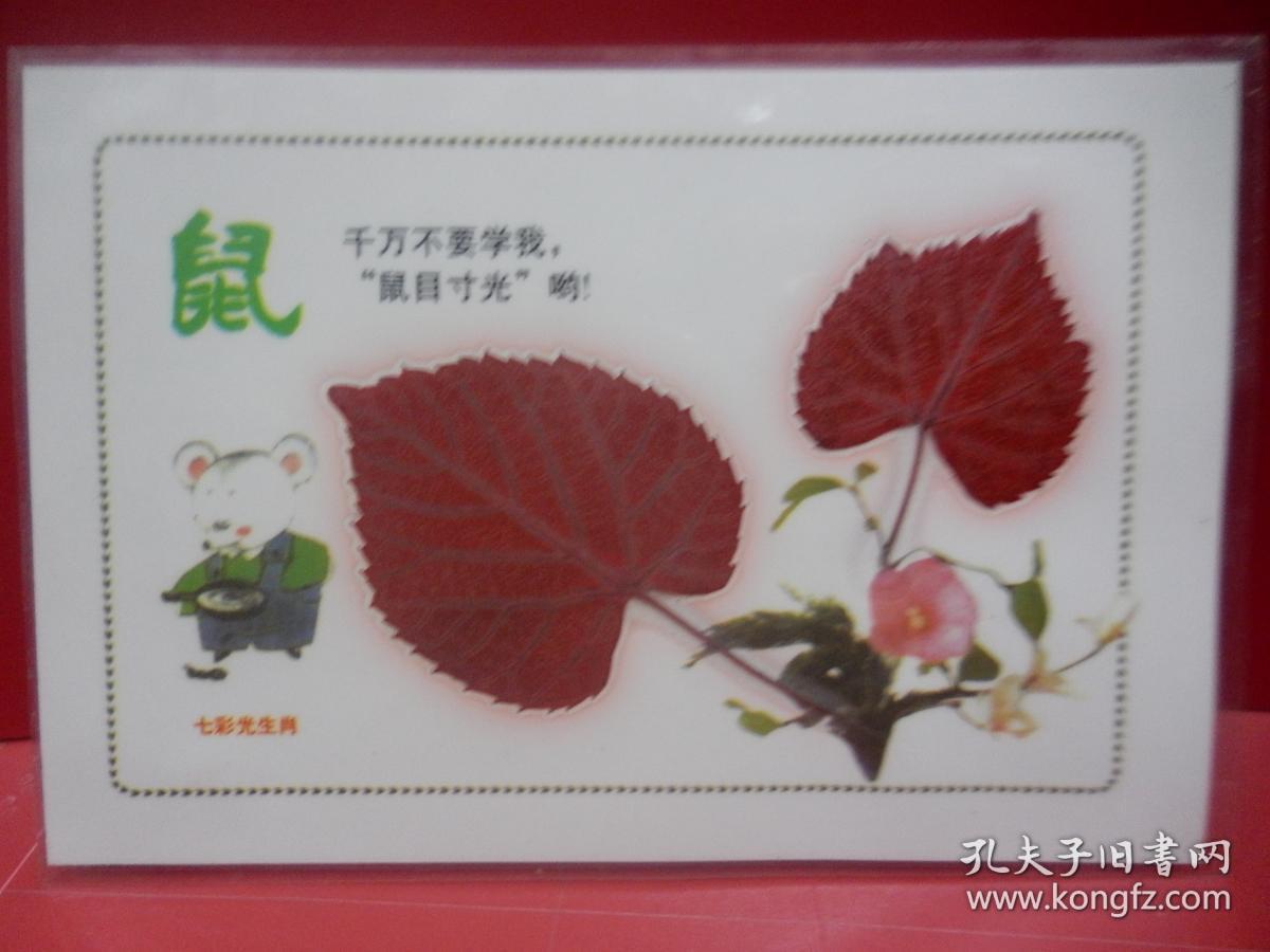 早期天然红树叶标本七彩光12生肖一套12张全（已过胶硬塑料模）