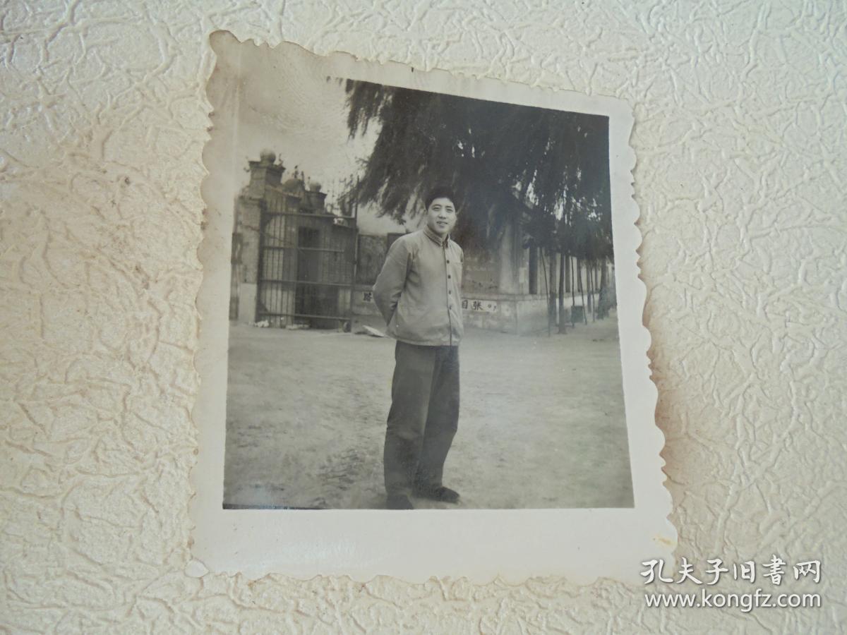 树下的男青年老照片