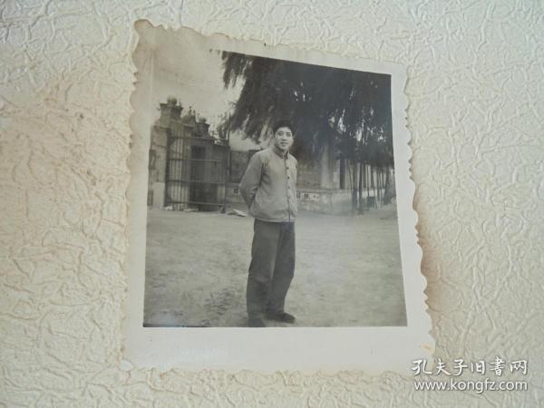 树下的男青年老照片