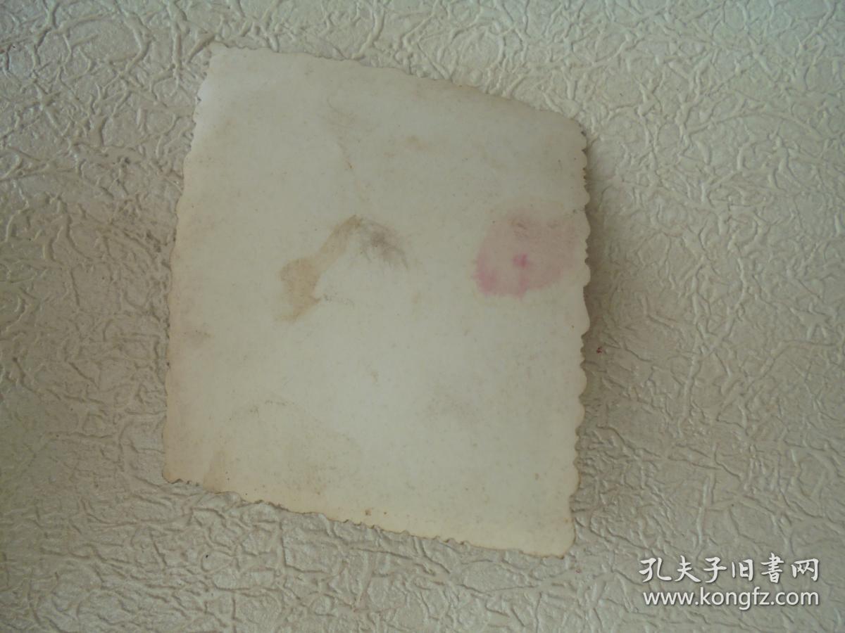 树下的男青年老照片