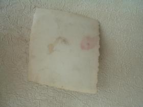 树下的男青年老照片