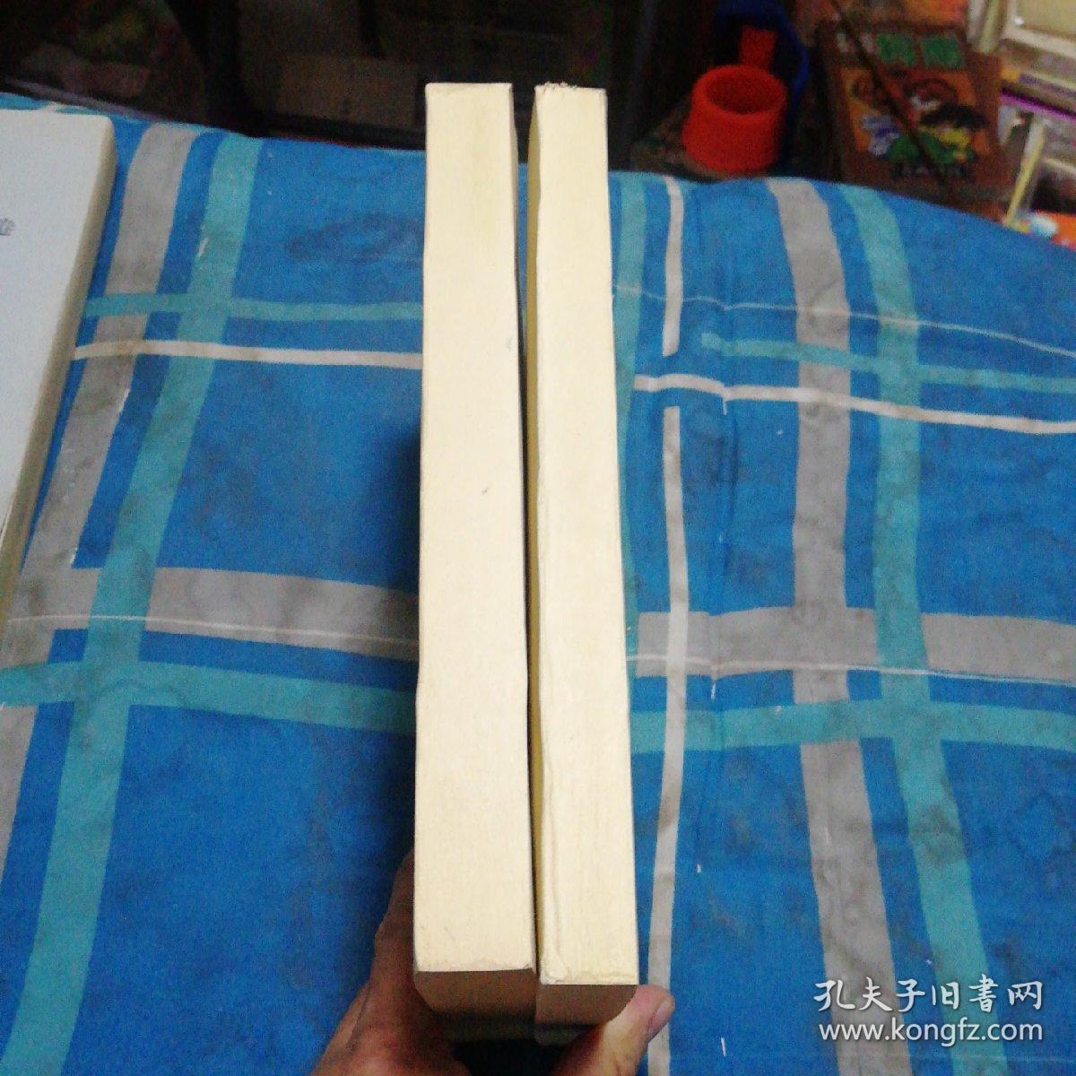 天津城建志市政建设卷 试写稿 （上下）