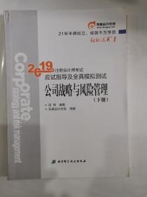 注会会计职称2019教材辅导东奥2019年轻松过关一《2019年注册会计师考试应试指导及全真模拟测试》公司战略与风险管理（下册）