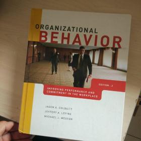 Organizational Behavior