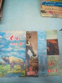 化石杂志   四本79年第二第四期两本   80年第一第三两本  总计四本