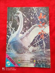 知识窗 1985.6 （双月刊）