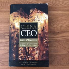 China CEO: Voices of Experience from 20 International Business Leaders  中国首席执行官