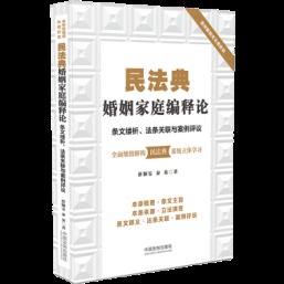 民法典婚姻家庭编释论：条文缕析、法条关联与案例评议