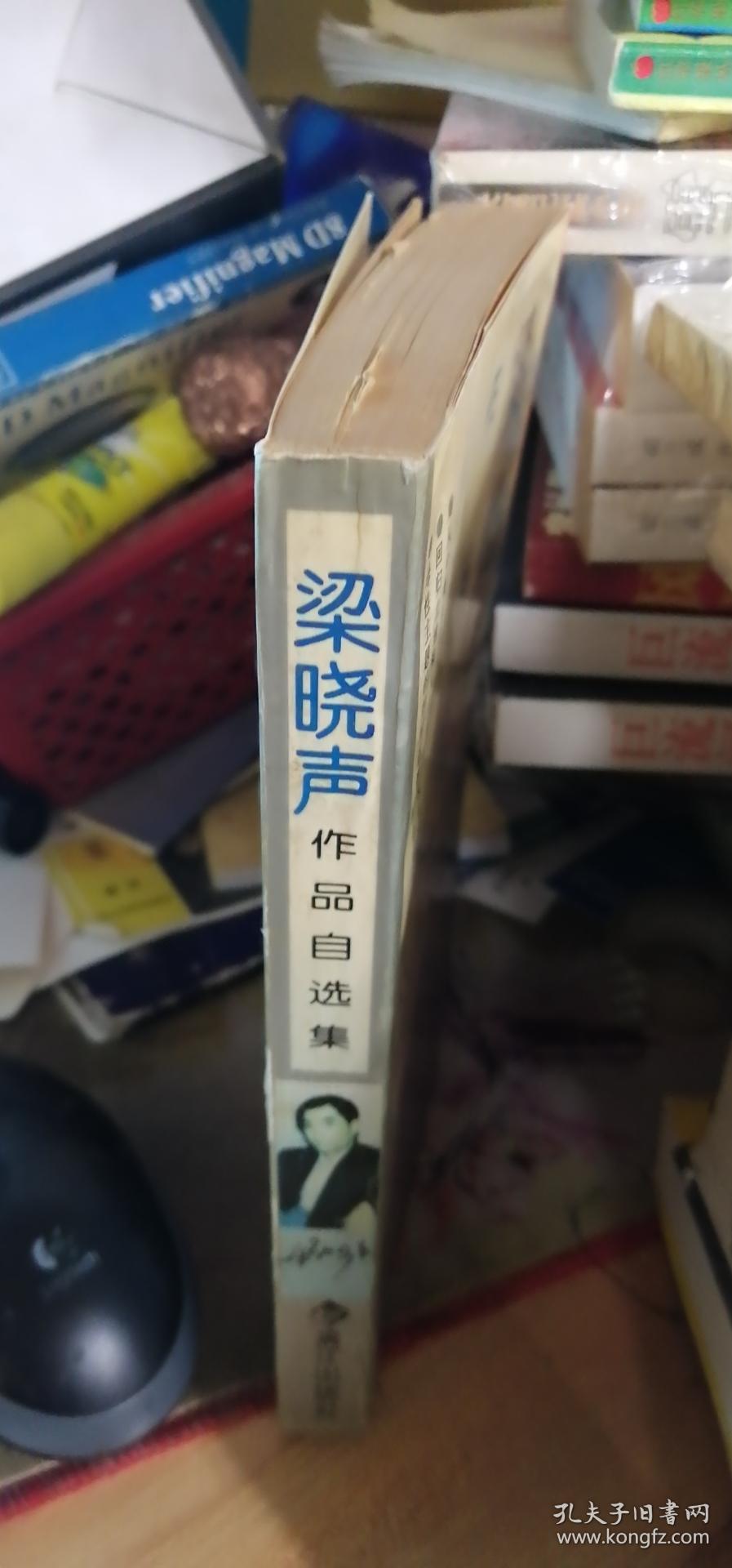 梁晓声作品自选集