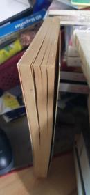 梁晓声作品自选集