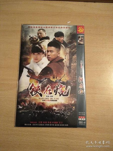 【电视剧】铁在烧  DVD 2碟装