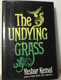 The Undying Grass