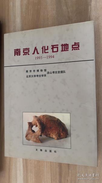 南京人化石地点:1993-1994