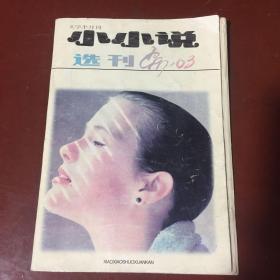 小小说选刊