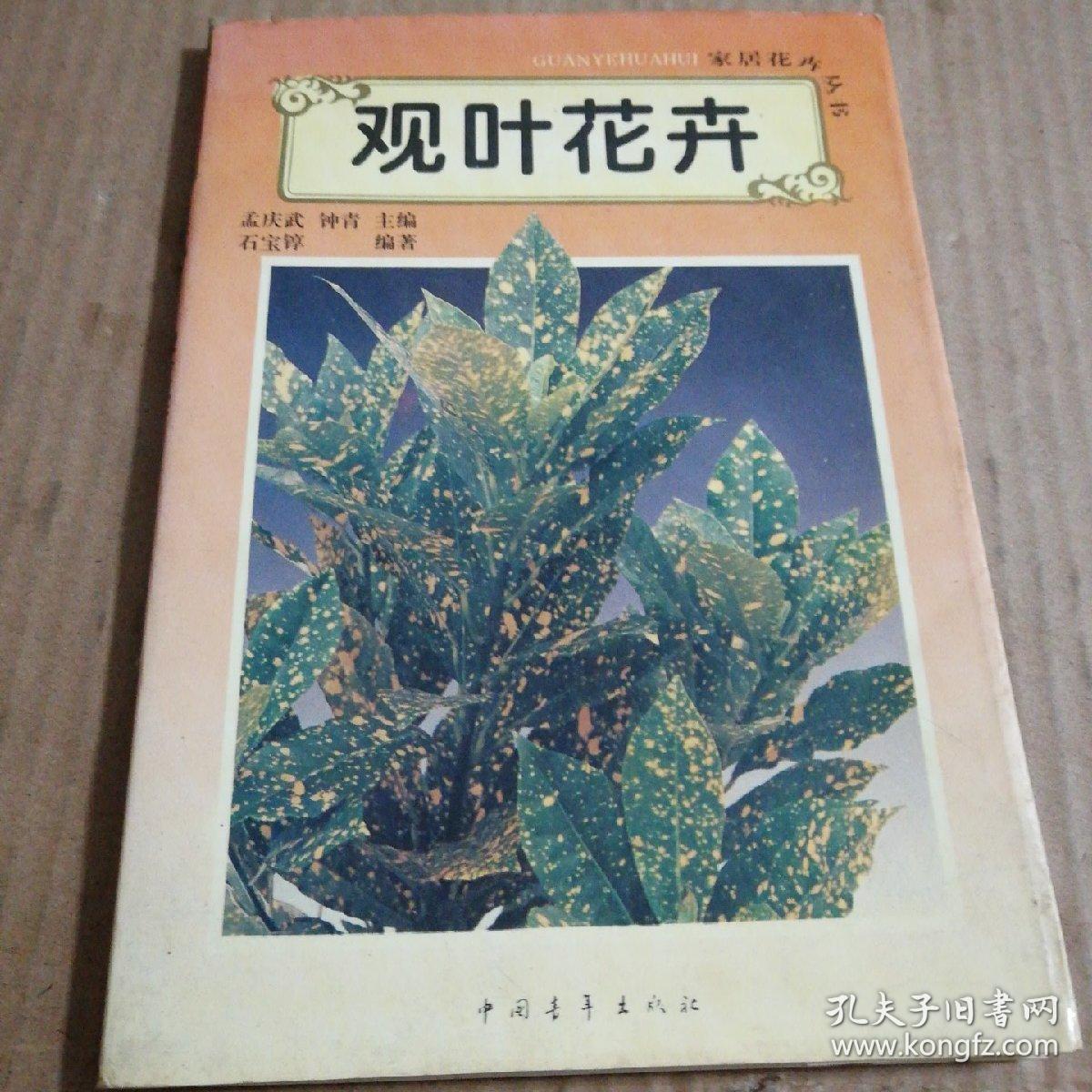 观叶花卉