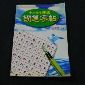 中小学生速成钢笔字帖