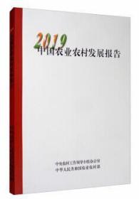 2020年中国农业农村发展报告2019 中国农业出版社