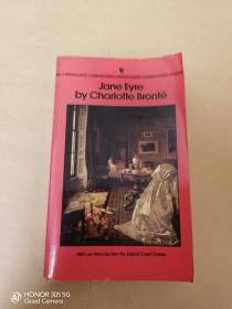 Jane Eyre by Charlotte Brontë   夏洛特·勃朗特的《简·爱》