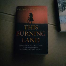 This Burning Land: Lessons from the Front Lines of the Transformed Israeli-Palestinian Conflict