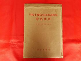 旱粮主要病虫害形态特征彩色挂图（1979年印，对开彩图五幅全）