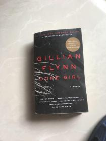 Gone Girl: A Novel消失的爱人 英文原版