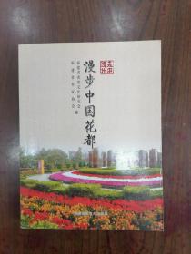 走进漳州:漫步中国花都   2009年1版1印仅印6500册，馆藏，九五品