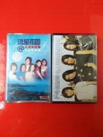 磁带：F4（流星雨  流星花园）两张合售