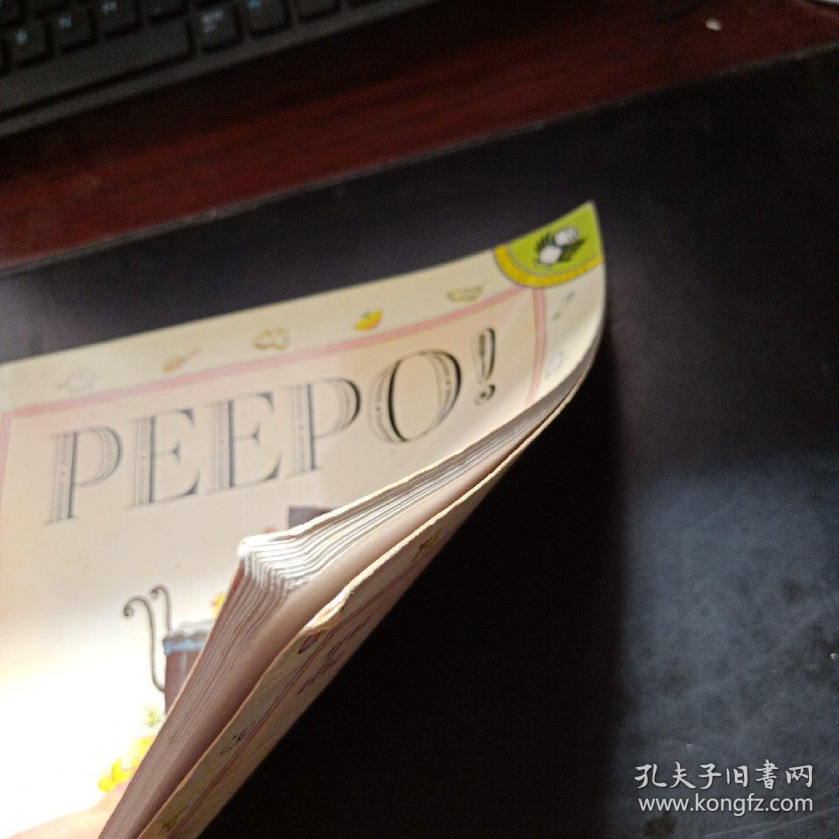 Peepo! (Picture Puffin) 英文原版.