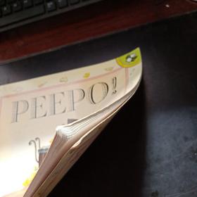 Peepo! (Picture Puffin) 英文原版.