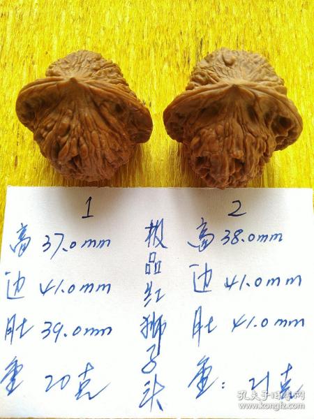 文玩核桃   极品野生麻核桃红狮子头一对，2009年下树的，老树已无，再也没有了，这种红狮子头少之又少，绝不多见，人工培育出来的几乎就是四不像，所以也没人再培育了。全新未上手，保存完好无损。