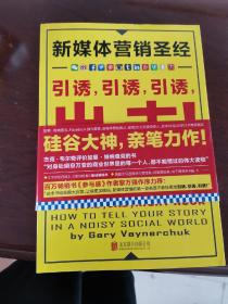 新媒体营销圣经（全彩）：引诱,引诱,引诱,出击!