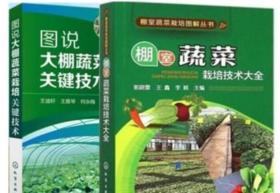 农业大棚蔬菜番茄黄瓜辣椒种植栽培技术U盘3书