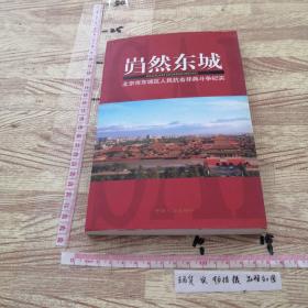 岿然东城:北京市东城区人民抗击非典斗争纪实