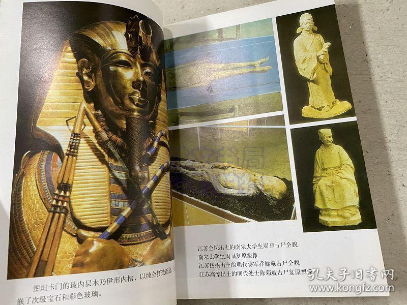 再会祖先-人类尸体不朽之谜