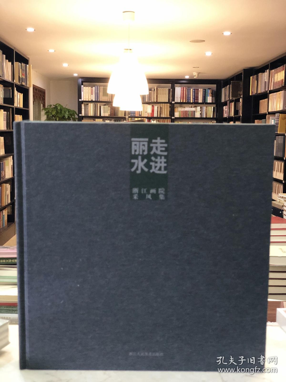 走进丽水（12开精装 全一册 Log）