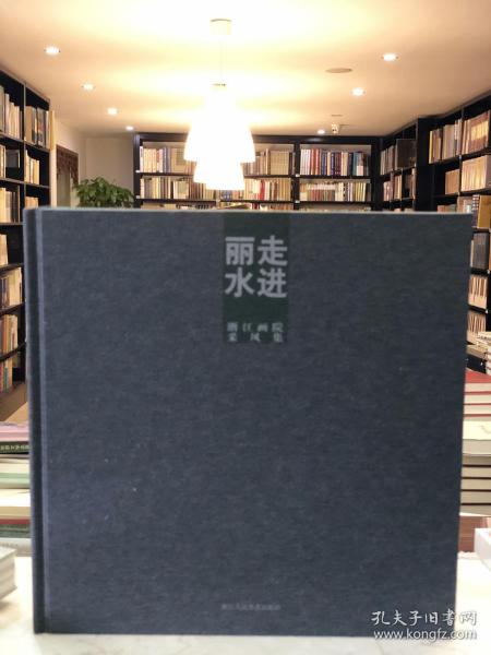 走进丽水（12开精装 全一册 Log）