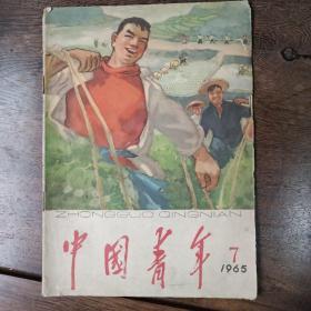 中国青年杂志1965－