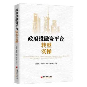 政府投融资平台转型实操