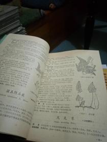 浙南本草新编 私藏品好