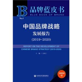 中国品牌战略发展报告