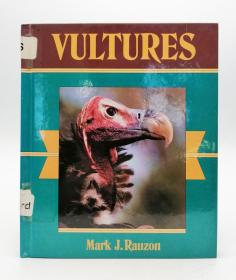 Vultures 英文原版-《秃鹰》